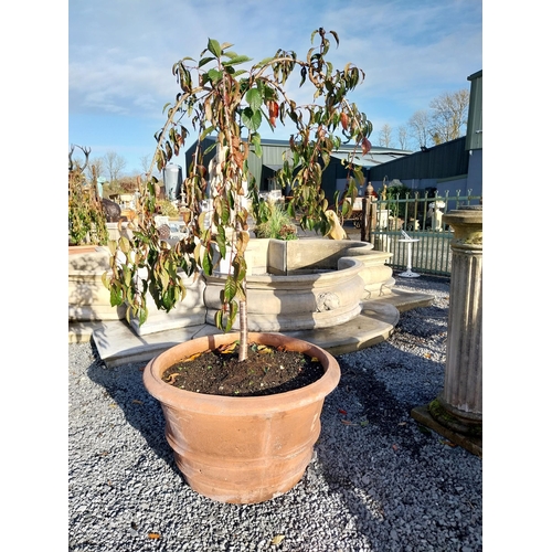 550 - Pair of moulded terracotta planters. {56 cm H x 30 cm Dia}.