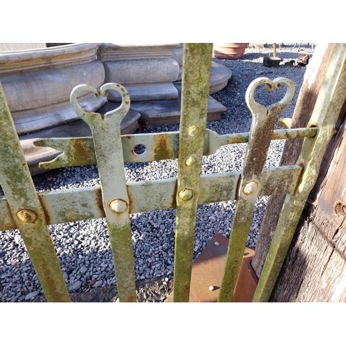 630 - Rare 19th C. Armagh wrought iron blacksmith's gate. {138 cm H x 238 cm W x 3 cm D}.