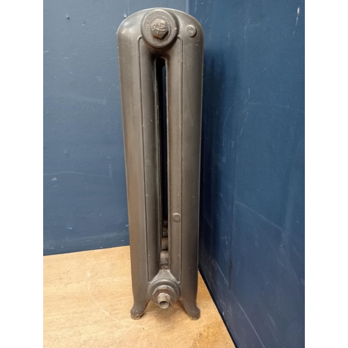 749 - Cast iron two column five section radiator {H 80cm x W 46cm x D20cm}.