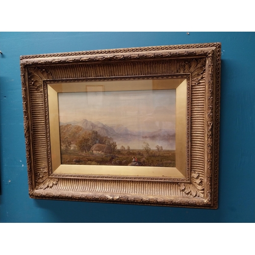 140 - Pair of 19th C. oil on canvas mounted in gilt frames   Countryside Scene. {45 cm H x 57 cm W}.