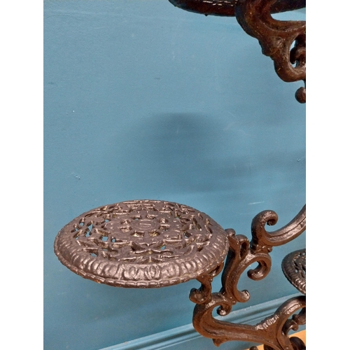 239 - Decorative cast iron plant stand. {101 cm H x 92 cm W x 50 cm D}.