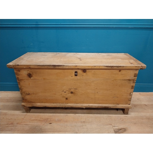 299 - 19th C. stripped pine lidded trunk. {64 cm H x 140 cm W x 54 cm D}.