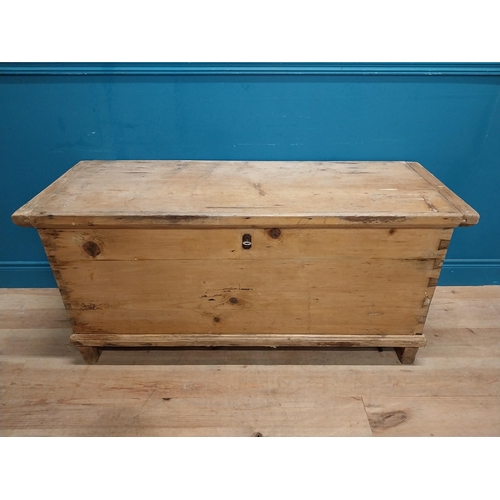 299 - 19th C. stripped pine lidded trunk. {64 cm H x 140 cm W x 54 cm D}.