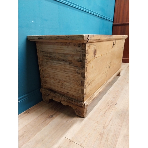 299 - 19th C. stripped pine lidded trunk. {64 cm H x 140 cm W x 54 cm D}.