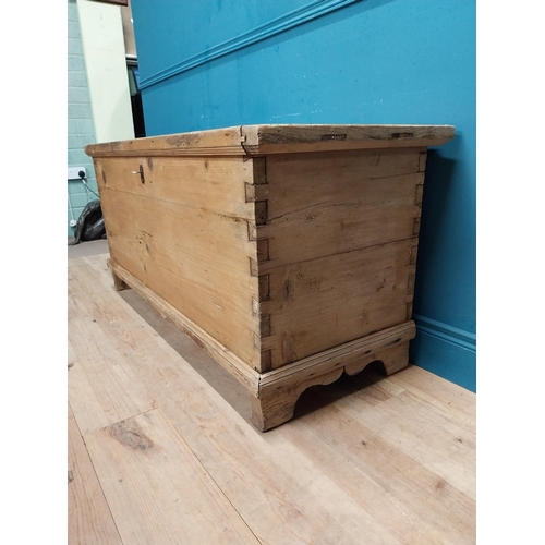 299 - 19th C. stripped pine lidded trunk. {64 cm H x 140 cm W x 54 cm D}.