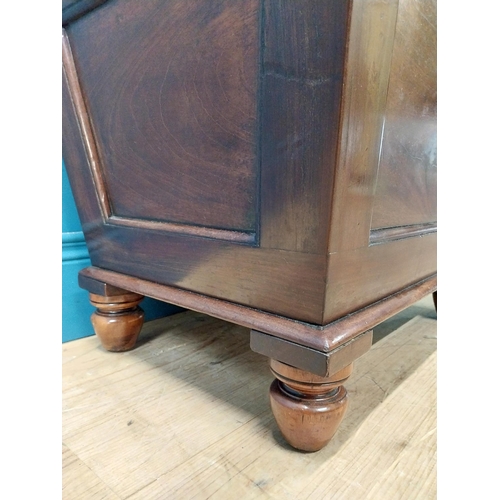 307 - William IV mahogany cellarette with original interior. {52 cm H x 64 cm W x 45 cm D}.