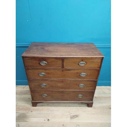 327 - Georgian mahogany chest of drawers with two short drawers over three long drawers and brass handles ... 