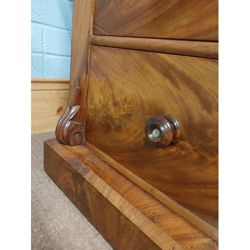 357 - Victorian mahogany Scotch chest of drawers with two short drawers over three long drawers. {128 cm H... 