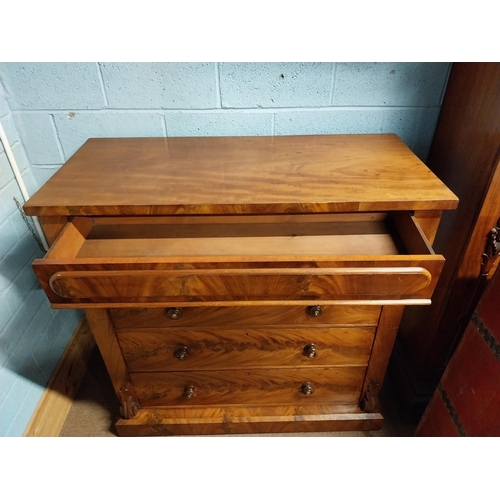 357 - Victorian mahogany Scotch chest of drawers with two short drawers over three long drawers. {128 cm H... 