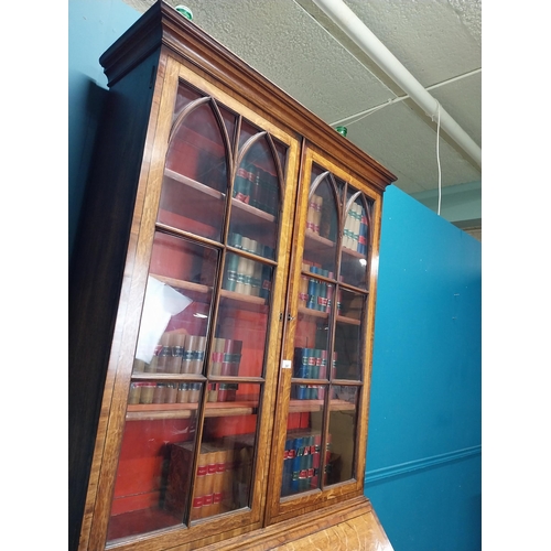 397 - Georgian oak bureau bookcase with fitted red velvet interior on bracket feet above two glazed doors.... 