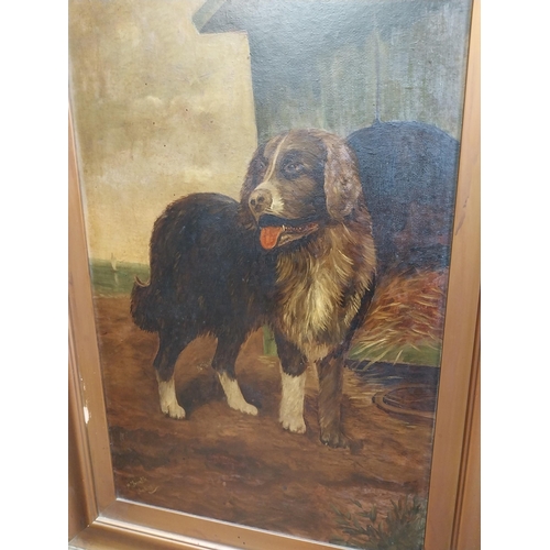 504 - Pair of 20th C. framed oil on canvas paintings Dogs signed M Trimble Feb 1915. {126 cm H x 24 cm W}.