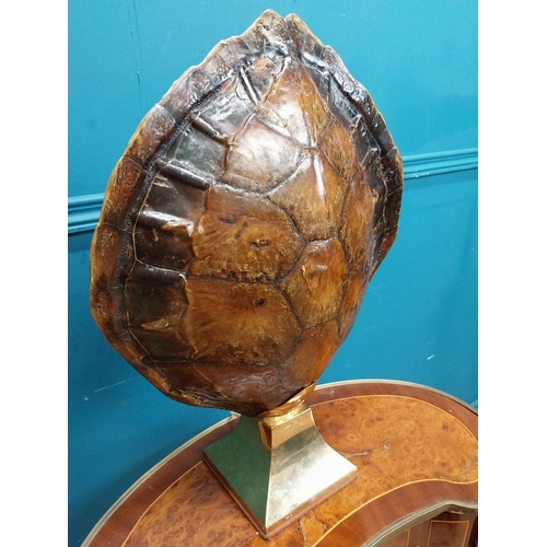 527 - Early 20th C. tortoise shell and brass designer table lamp. {50 cm H x 40 cm W x 15 cm D}