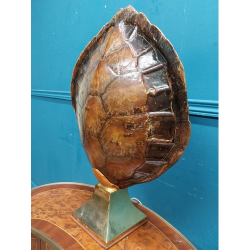 527 - Early 20th C. tortoise shell and brass designer table lamp. {50 cm H x 40 cm W x 15 cm D}