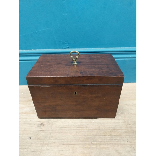 549 - 19th C. mahogany tea caddy. {20 cm H x 33 cm W  x 15 cm D}.