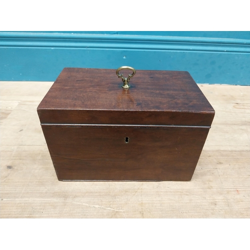 549 - 19th C. mahogany tea caddy. {20 cm H x 33 cm W  x 15 cm D}.