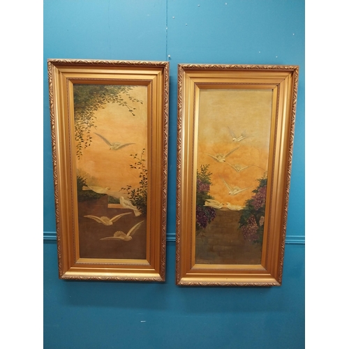 591 - Pair of 20th C. framed oil on canvas paintings  Doves. {123 cm H x 36 cm W}.