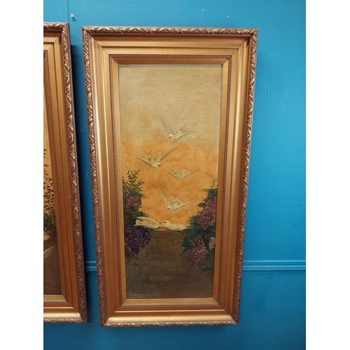 591 - Pair of 20th C. framed oil on canvas paintings  Doves. {123 cm H x 36 cm W}.