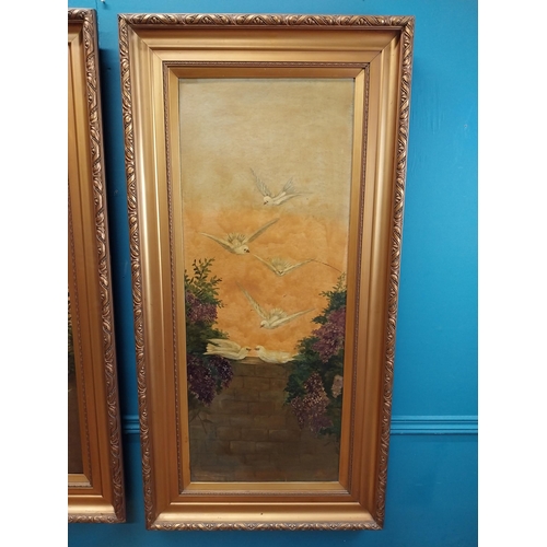 591 - Pair of 20th C. framed oil on canvas paintings  Doves. {123 cm H x 36 cm W}.