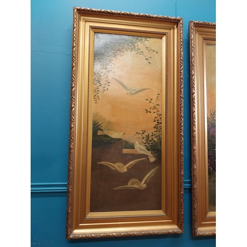 591 - Pair of 20th C. framed oil on canvas paintings  Doves. {123 cm H x 36 cm W}.