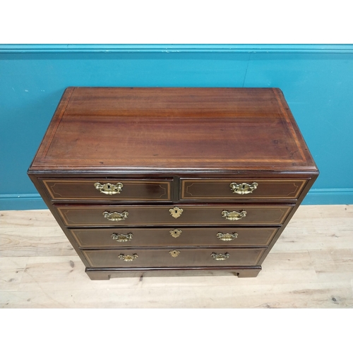 87 - Georgian mahogany chest of drawers with two short drawers over three long drawers and brass handles.... 