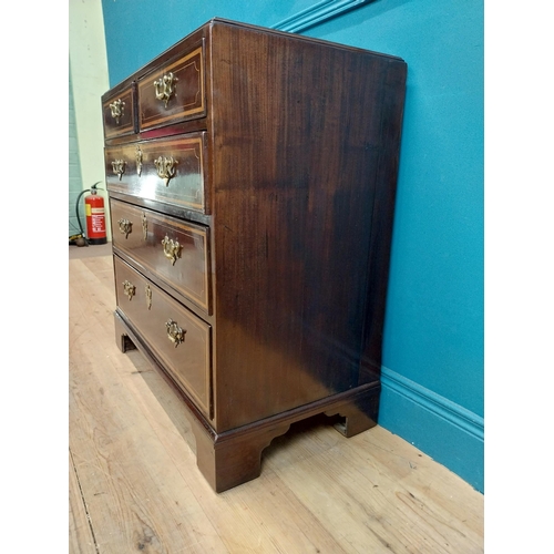 87 - Georgian mahogany chest of drawers with two short drawers over three long drawers and brass handles.... 