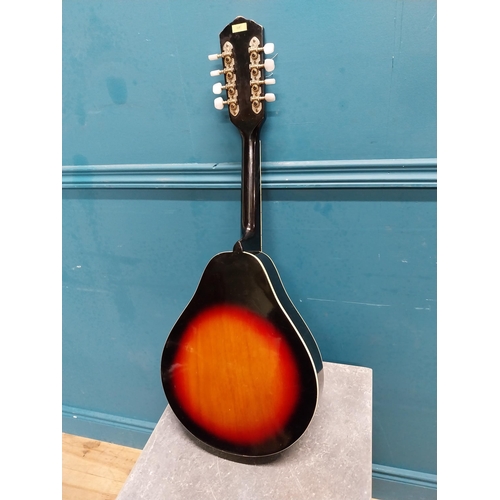 158 - Hondo 8 string Mandolin {70 cm H x 27 cm W x 10 cm D}.