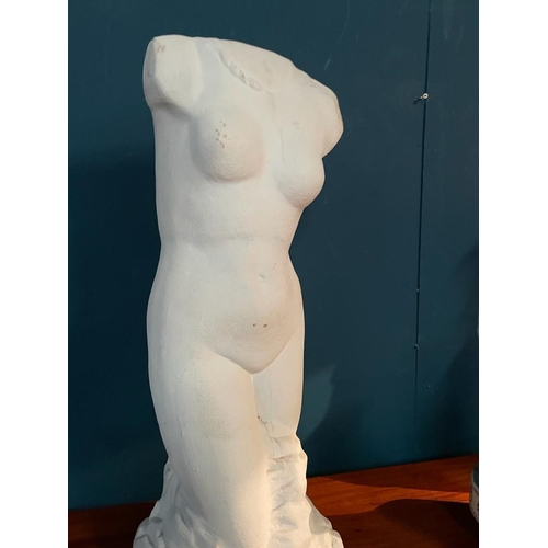 426 - Plaster figure of a Torso {80 cm H x 34 cm W x 23 cm D}.