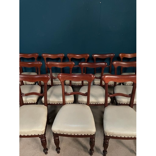 460 - Set of twelve Victorian mahogany dining room chairs with metal studded upholstered seats {86 cm H x ... 