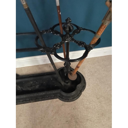 515 - Exceptional quality Victorian cast iron stick stand {75 cm H x 130 cm W x 42 cm D}.