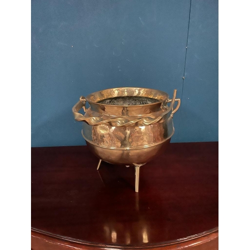 529 - Victorian brass coal bucket in the form of a Cauldron {50 cm H x 38 cm Dia.}.