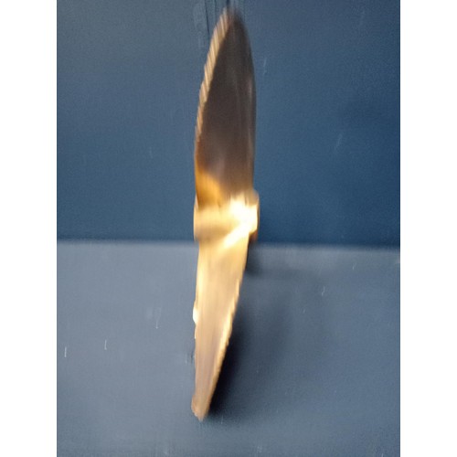 648 - Propeller {H 19cm x W23cm x D 1cm}.