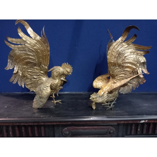 467 - Pair of brass fighting cocks {H 49cm x W 30cm x D 34cm } (NOT AVAILABLE TO VIEW IN PERSON)