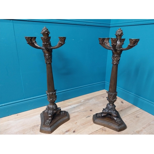 650 - Pair of exceptional quality bronze six branch candelabras on reeded column decorated with acanthus l... 