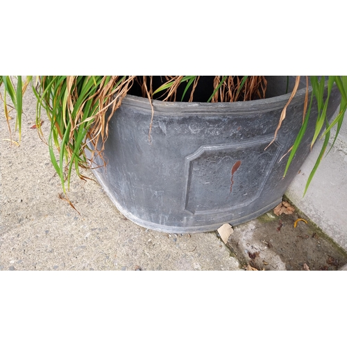 718 - Pair of good quality 19th C. corner lead planters {60 cm H x 70 cm W x 60 cm D each}.