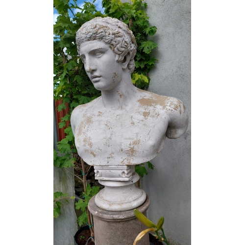 719 - Composition stone bust of a Roman Gentle raised on pedestal in the Georgian style {Overall 176 cm H ... 