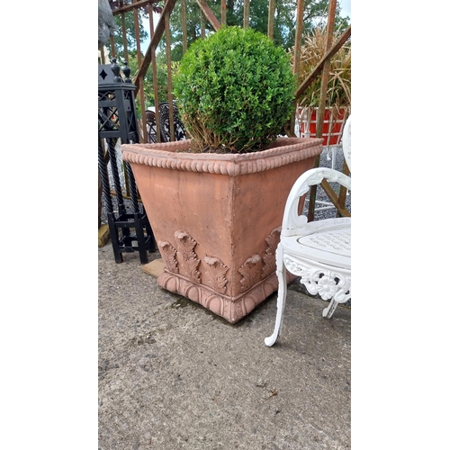 721 - Pair of good quality moulded terracotta planters decorated with acanthus leaf including box ball pla... 