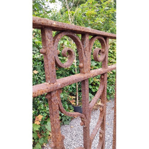 728 - Collection of early 20th C. wrought iron railings - total nineteen sections {133 cm H.}.