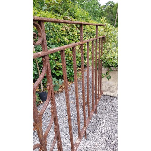 728 - Collection of early 20th C. wrought iron railings - total nineteen sections {133 cm H.}.