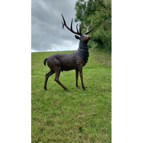 734 - Exceptional quality bronze statue of a majestic Stag {207 cm H x 165 cm W x 92 cm D}.