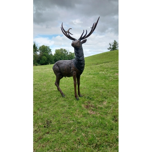 734 - Exceptional quality bronze statue of a majestic Stag {207 cm H x 165 cm W x 92 cm D}.