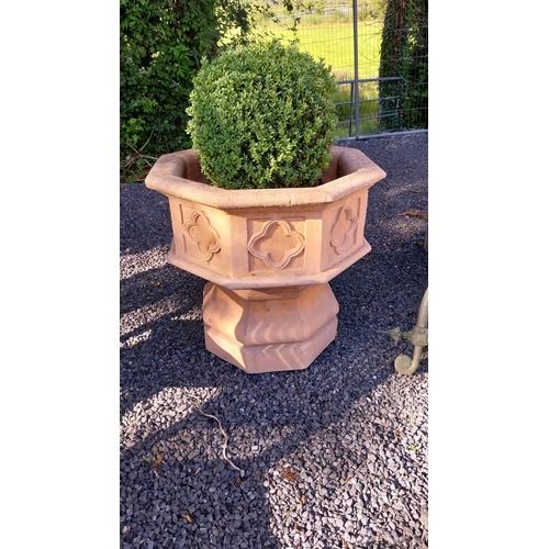 736 - Pair of good quality moulded terracotta planters in the Gothic style including box hedge plants {Ove... 