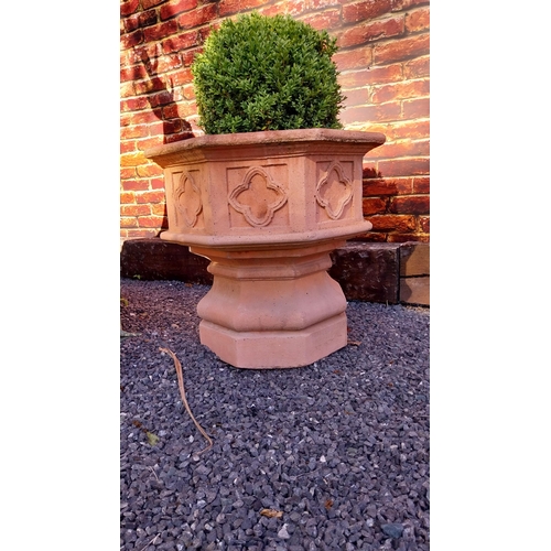 736 - Pair of good quality moulded terracotta planters in the Gothic style including box hedge plants {Ove... 