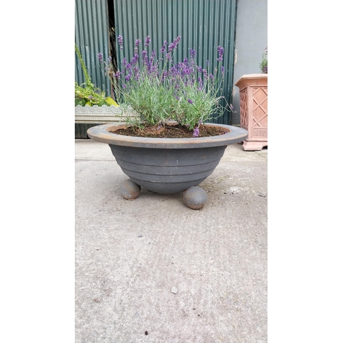 738 - Rare pair of Art Deco cast iron planters raised on ball feet {43 cm H x 90 cm Dia.}.