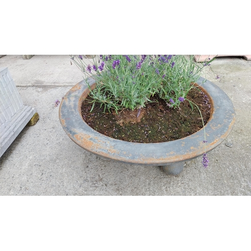 738 - Rare pair of Art Deco cast iron planters raised on ball feet {43 cm H x 90 cm Dia.}.