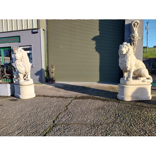 740 - Pair of good quality moulded stone seated lions on pedestals {182cm H x 110cm W x 58cm D}