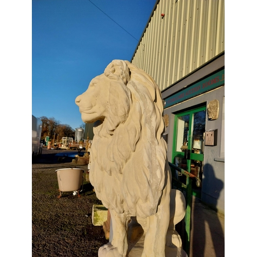 740 - Pair of good quality moulded stone seated lions on pedestals {182cm H x 110cm W x 58cm D}