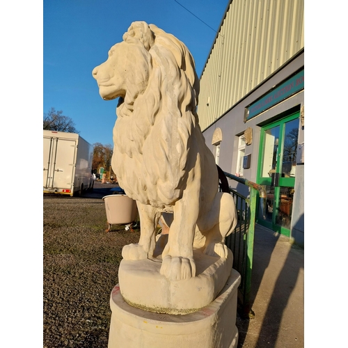 740 - Pair of good quality moulded stone seated lions on pedestals {182cm H x 110cm W x 58cm D}