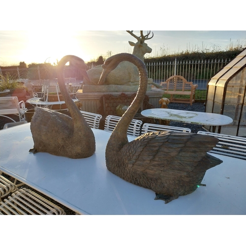 747 - Pair of exceptional quality bronze swans {69cm H x 79cm W x 38cm D}