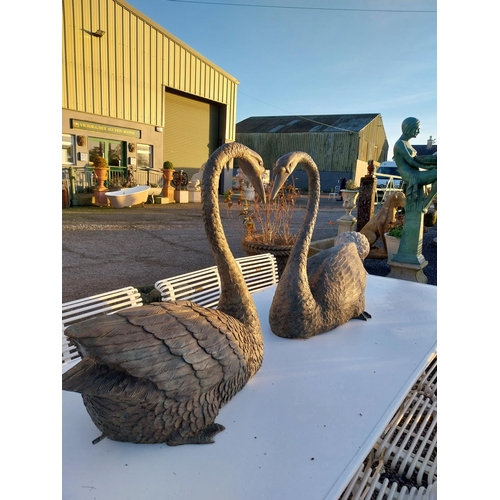 747 - Pair of exceptional quality bronze swans {69cm H x 79cm W x 38cm D}