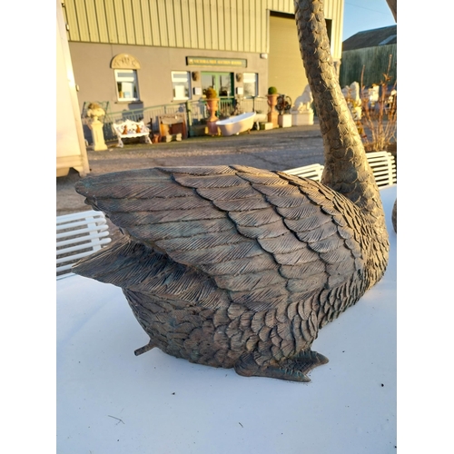 747 - Pair of exceptional quality bronze swans {69cm H x 79cm W x 38cm D}